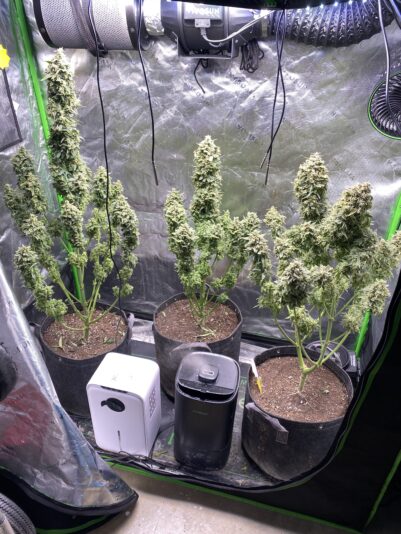 3E58E319-2586-49B2-918C-B95D1AC365CB