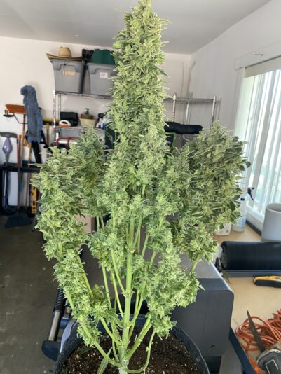 F2B54E3D-C3F8-458A-8849-216F476B34CF