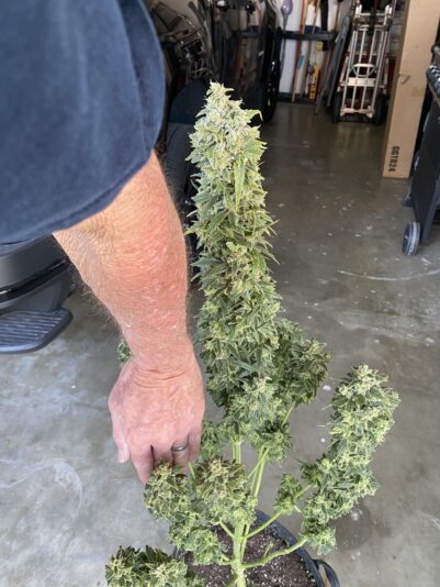 413E8AA5-E498-4A75-A1A7-ECCF2522D7FF