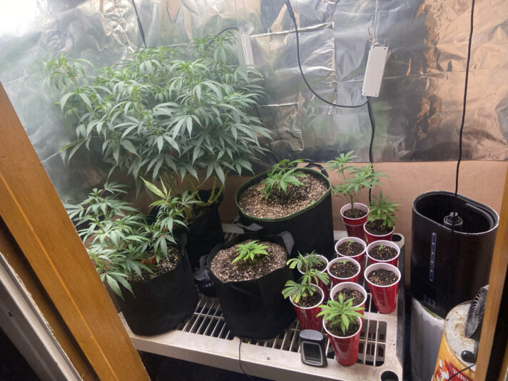 5A36C744-795C-4855-9245-B50E070FF256