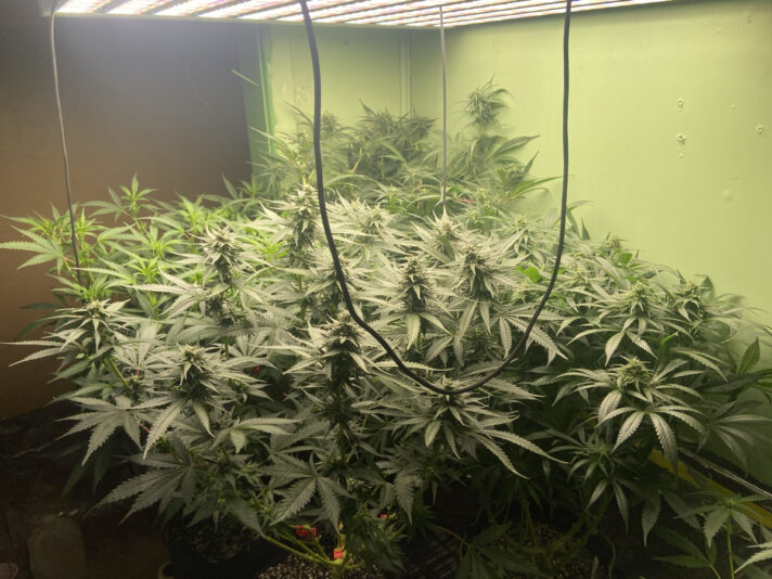 893A18EA-6314-4ABC-B73A-F56056AABE78