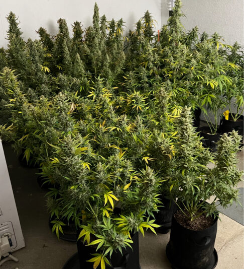 87275340-C7C0-474B-9CD5-940B53EE99B2