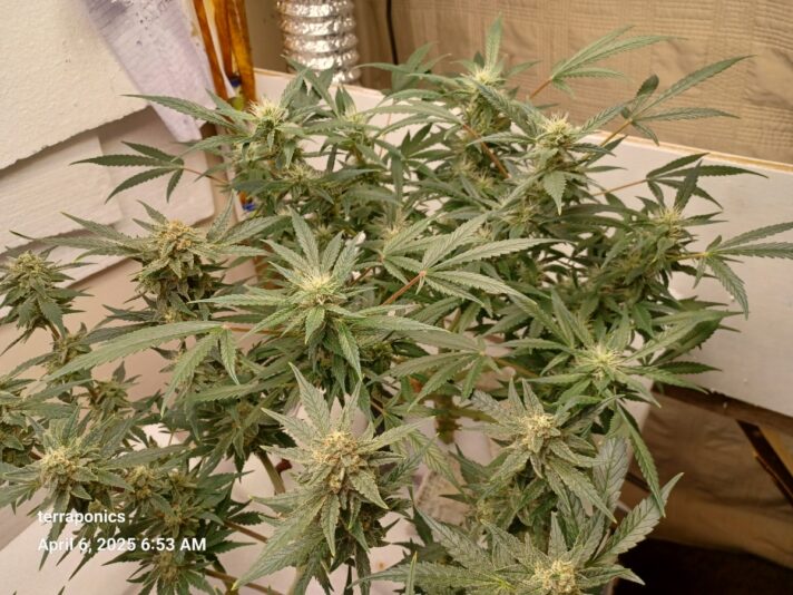 0f23dd90-13c1-4466-9228-7a83d1bd132c