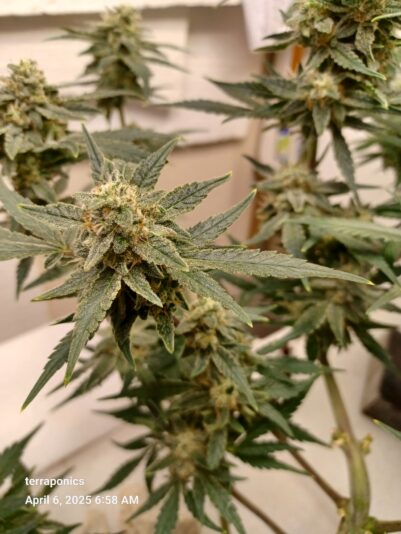 9e6083a4-8fae-40e6-a0cf-de353342bd30