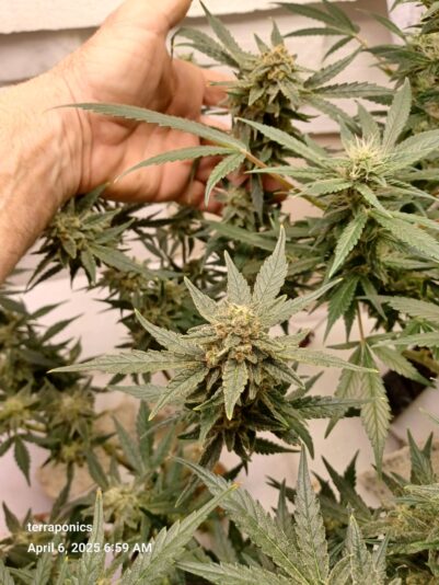 ff9c70ad-db6a-48f4-ad4c-d5dfe7e4def3