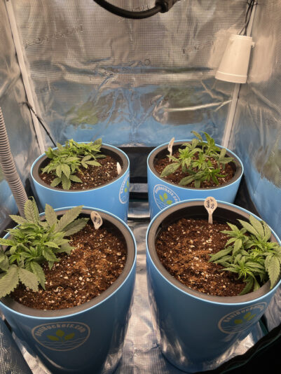 6F6B4368-F29D-448E-A996-E4C9C83DA4AB