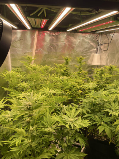 2BCF4AA0-14EF-4D50-9C25-F9FF25F11CE5