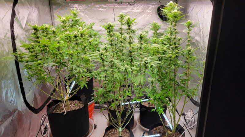 219d6623-f673-45db-84e9-c9f90b148747