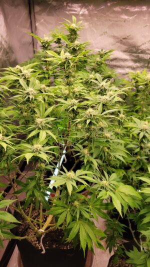 d6741a7d-8426-42a7-ac1b-659be2c1ffe2