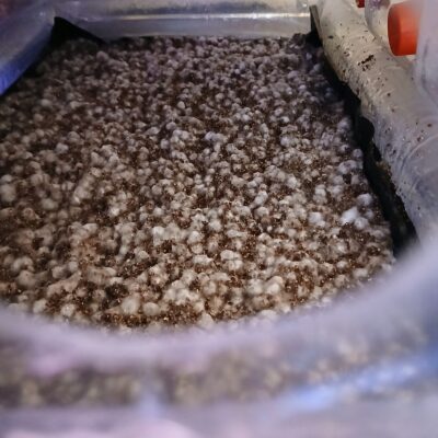 659c3d4f-dbcd-46a1-934a-9635faba37b9