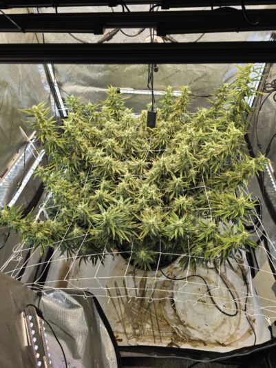 6a473722-d5e9-4f07-a185-f3d414145be9