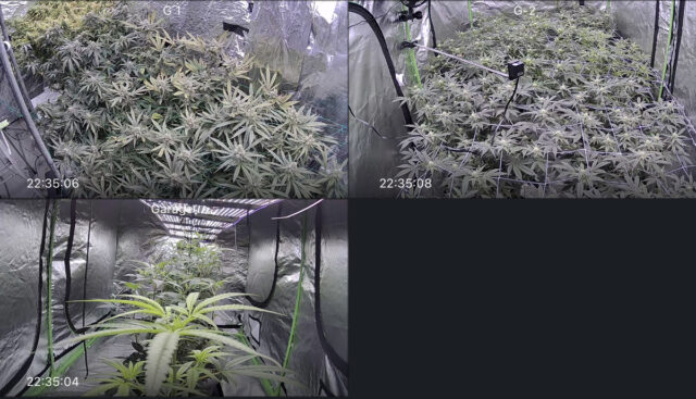 73394C69-4BC4-4691-9595-C330D9FFD827