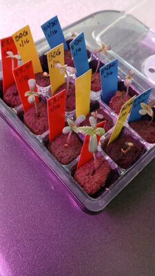 20250122_Day 6 - E420 BOG E314