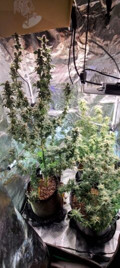 886896f1-7ef3-453e-b539-a93d757623a3