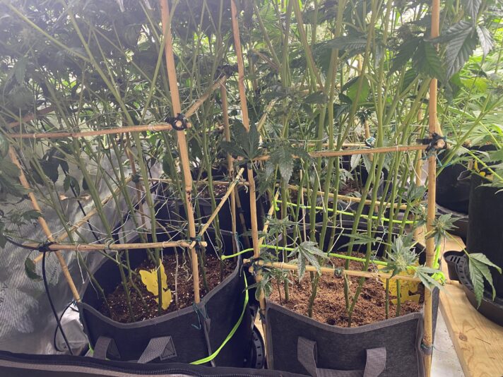 A4B7D020-D805-4D1A-8B92-FF1E40C4CC74