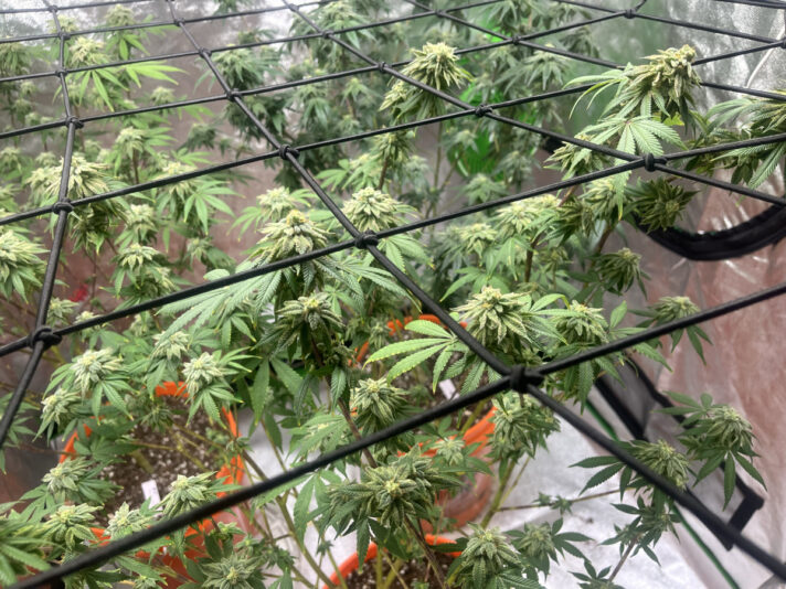 360BCAB6-EC46-488F-90D7-842206C5BFC3