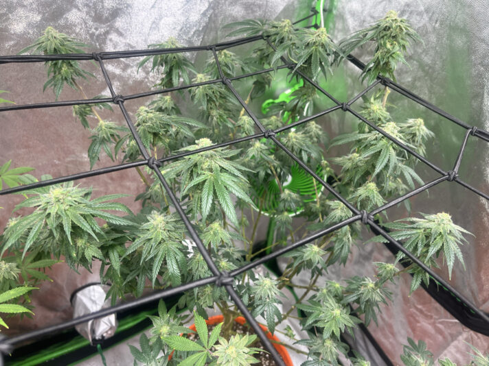 53061E37-8F0D-44F6-91E9-7B2787661EB0