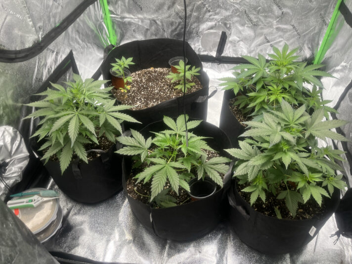 C14ECE7F-6C11-4C7A-AC01-5C061DDB79F0