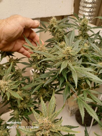 e2b55599-5254-4523-8d4d-67e22d9de45a