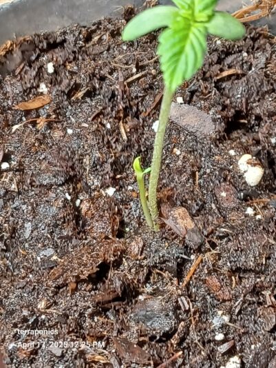 65acb63b-bf8e-4aab-afad-452eeeea32a7