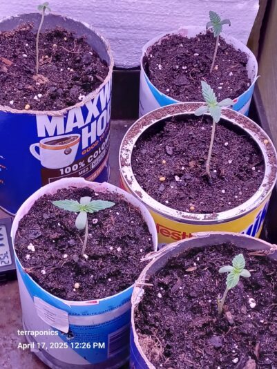 fb9e82ce-7ac5-4c27-883e-5b2e7a2b263c