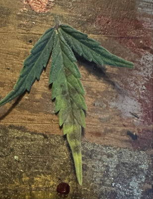 778CDE20-C653-41E1-BE3F-52E923D1DEE7