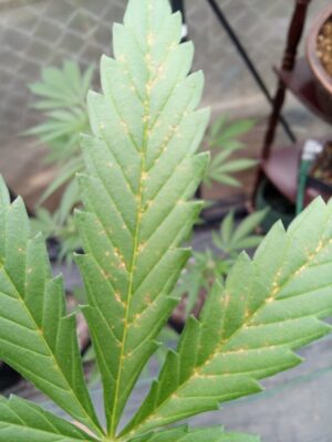 5b2e6e9d-65d8-445b-ae19-b5e72ec748b8