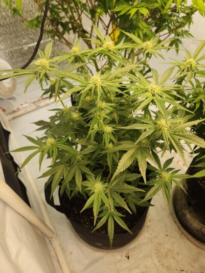 1a826802-b86e-4639-a48f-6f1e1e427836