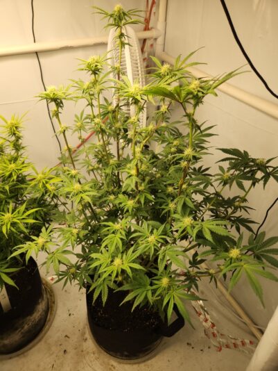 2e014ee1-41c2-481e-bc04-df27356598db