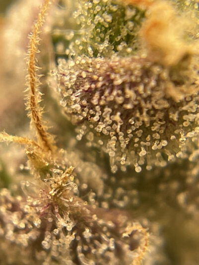 75AFC965-823B-449E-82AA-6C63FC7D5E4C