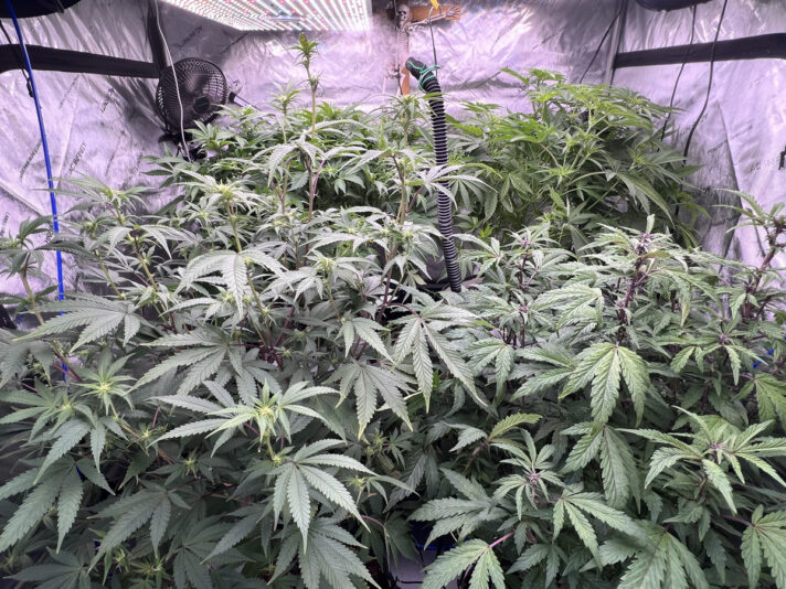 C44AC4C9-6808-449E-944A-14B8C0613DC8