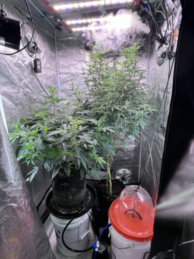 6036A8EF-044D-4ACA-AB00-29F78651B26B