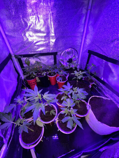 398DBFAF-761D-4F71-B2A9-AD8AC3CE5676