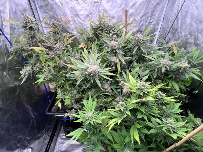 48E021A0-2799-4E59-B9A7-4B13B978694D