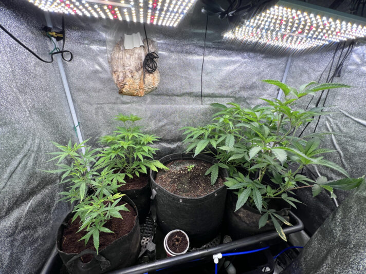 7BD901F9-6447-4C27-95B9-549EF49B5995