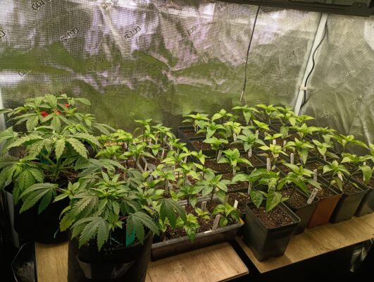 IMG_20250420_103024866