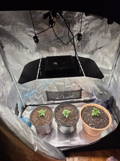 8d6c1ac7-7e7a-4690-8b64-88314a9efbad