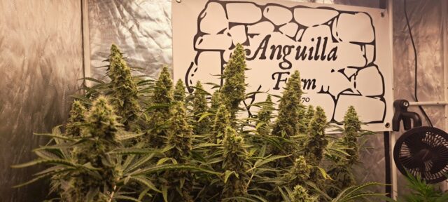 f4ffd824-33ec-4a93-8e41-a421ca1c41dc