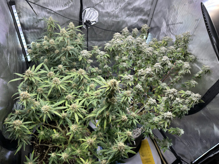 00BC551A-1F24-4FC3-AF62-B70467486F14