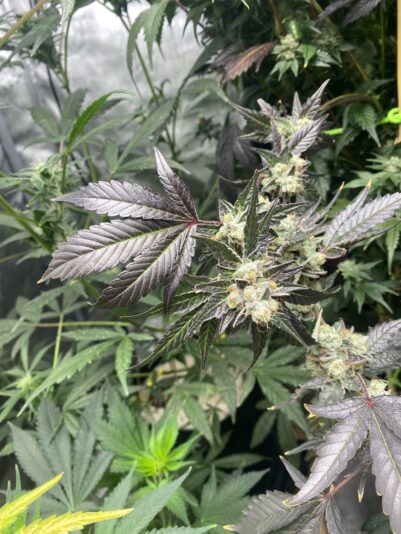 FF27832B-ECA7-4370-9CF8-78F642F64FA2