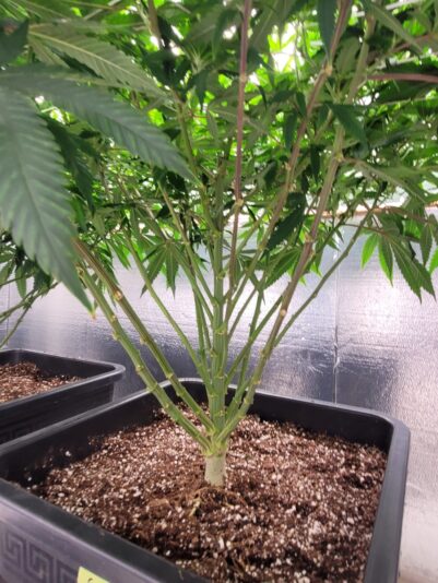 3fe62ccd-2022-41a4-8ba0-17e2a2beadb1