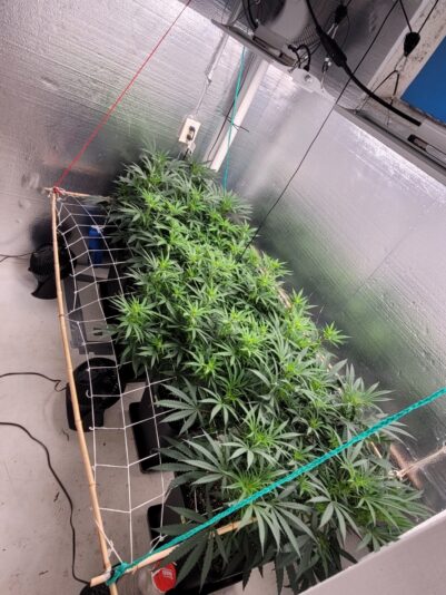 b952684a-2d85-449a-b59f-77bfbd5ff46b