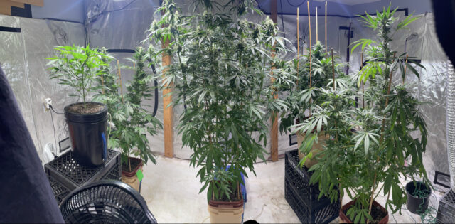 4290F965-5860-46A0-BF53-6139C70EEC54