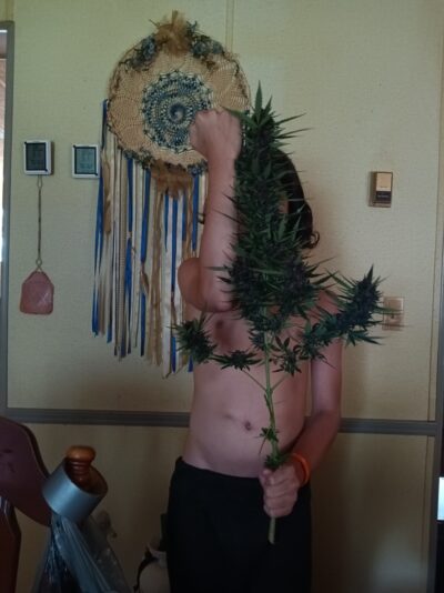 32687e9a-fb38-4c91-a4fb-2f52ae3c436f