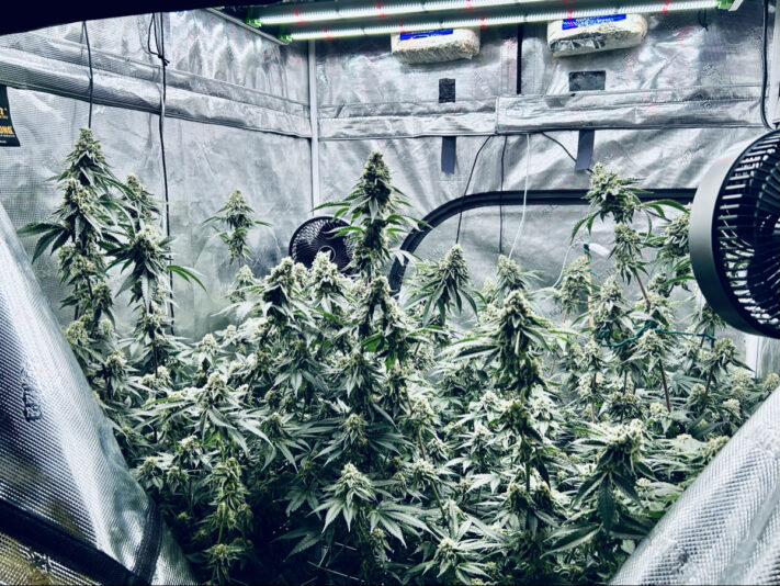 82295FBF-EFBC-486F-9DA8-2D6A8CA8D656