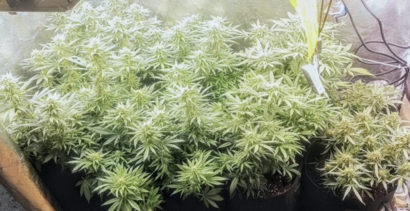 0d7b884f-05c8-4ab2-a6e7-7aa0fa57f608