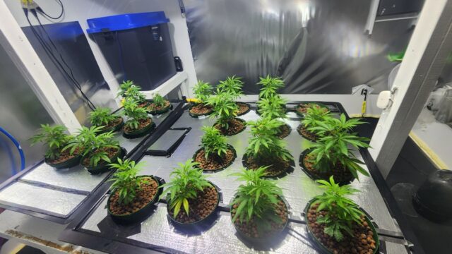 a4d0fc99-80f9-4c6a-b5cd-26e4f99f44b4