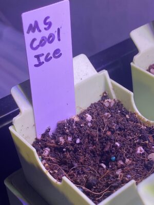 BAEFDE39-58FC-49F5-A677-FE2D7499C34C