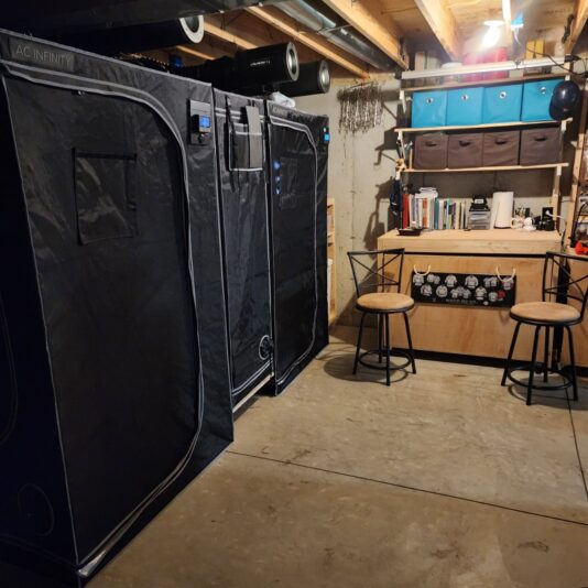 d79f20a8-a78a-4d51-940b-36d8fa86772f