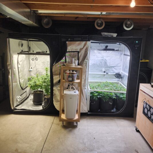 f3f2f185-cc7e-4c4b-ac6e-856b8e7a9adf